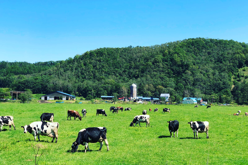 Watanabetaiken Farm