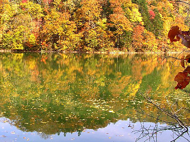 Half Moon Shore Nature Park