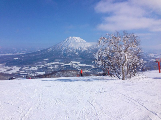 Niseko Mt. Resort Grand Hirafu