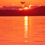 Saroma Lake