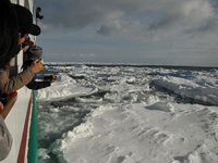 Looking down on drift ice from the Sightseeing Icebreaker Ship Aurora