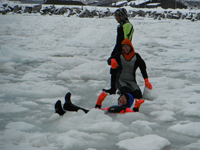 Drift ice experience