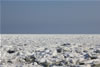 Drift ice